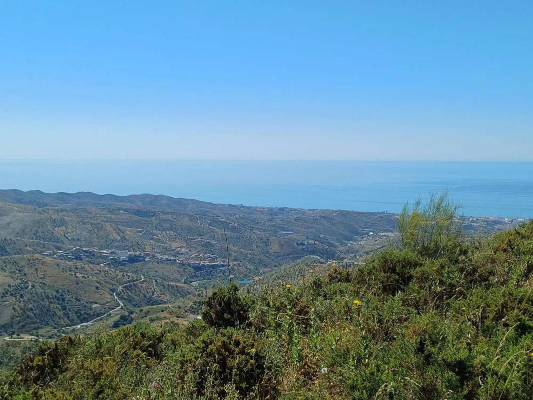 Land for sale in Moclinejo, Malaga photo 1