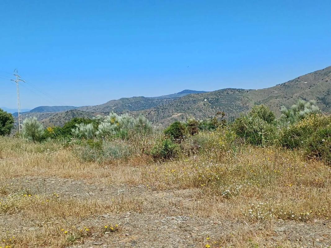Land for sale in Moclinejo, Malaga photo 2