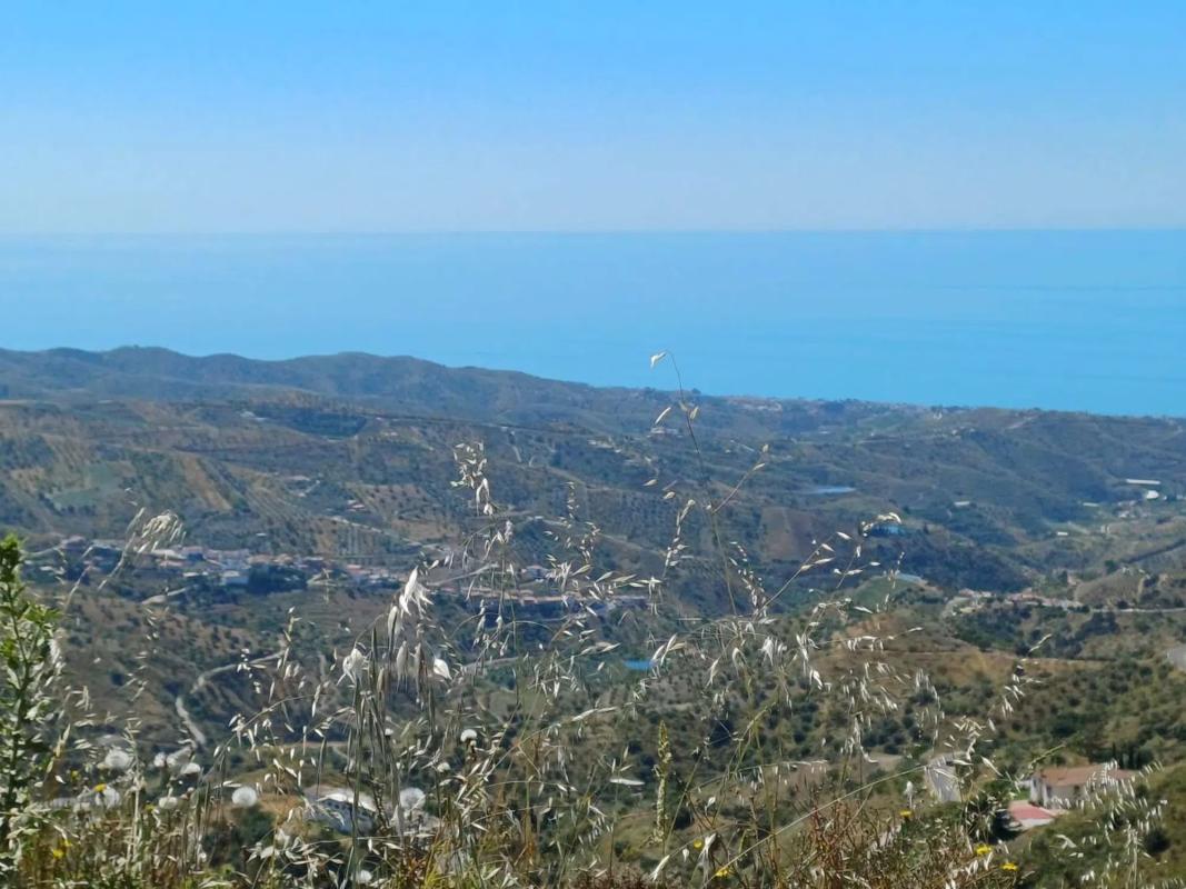Land for sale in Moclinejo, Malaga photo 3