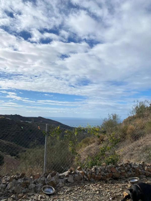 Land for sale in Moclinejo, Malaga photo 4