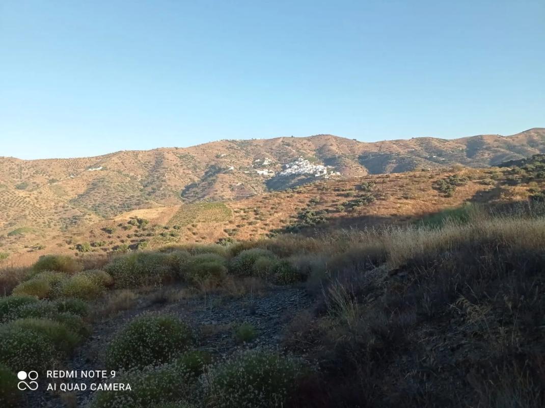 Land for sale in Moclinejo, Malaga photo 3