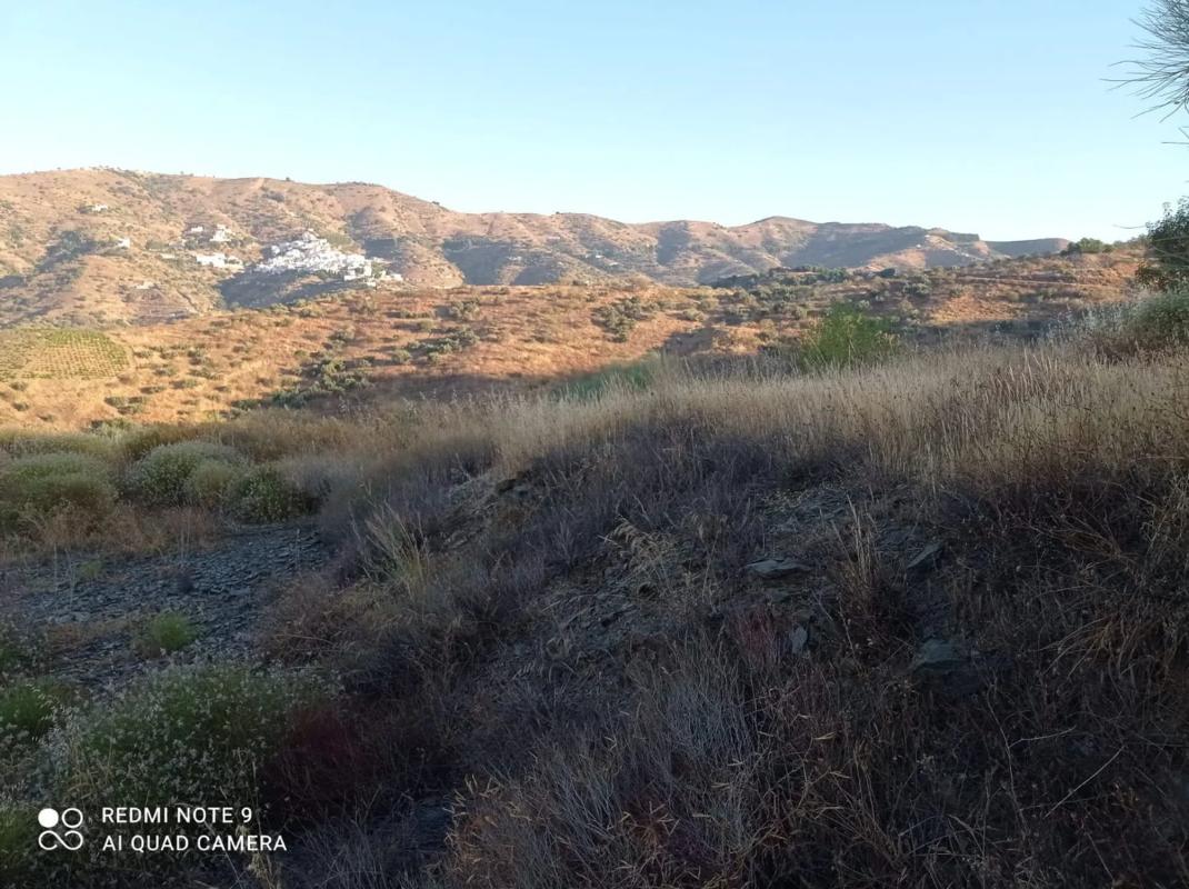 Land for sale in Moclinejo, Malaga photo 5