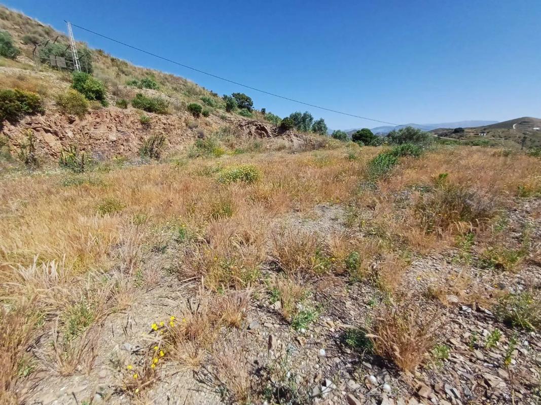 Terreno en venta en Moclinejo, Malaga photo 4