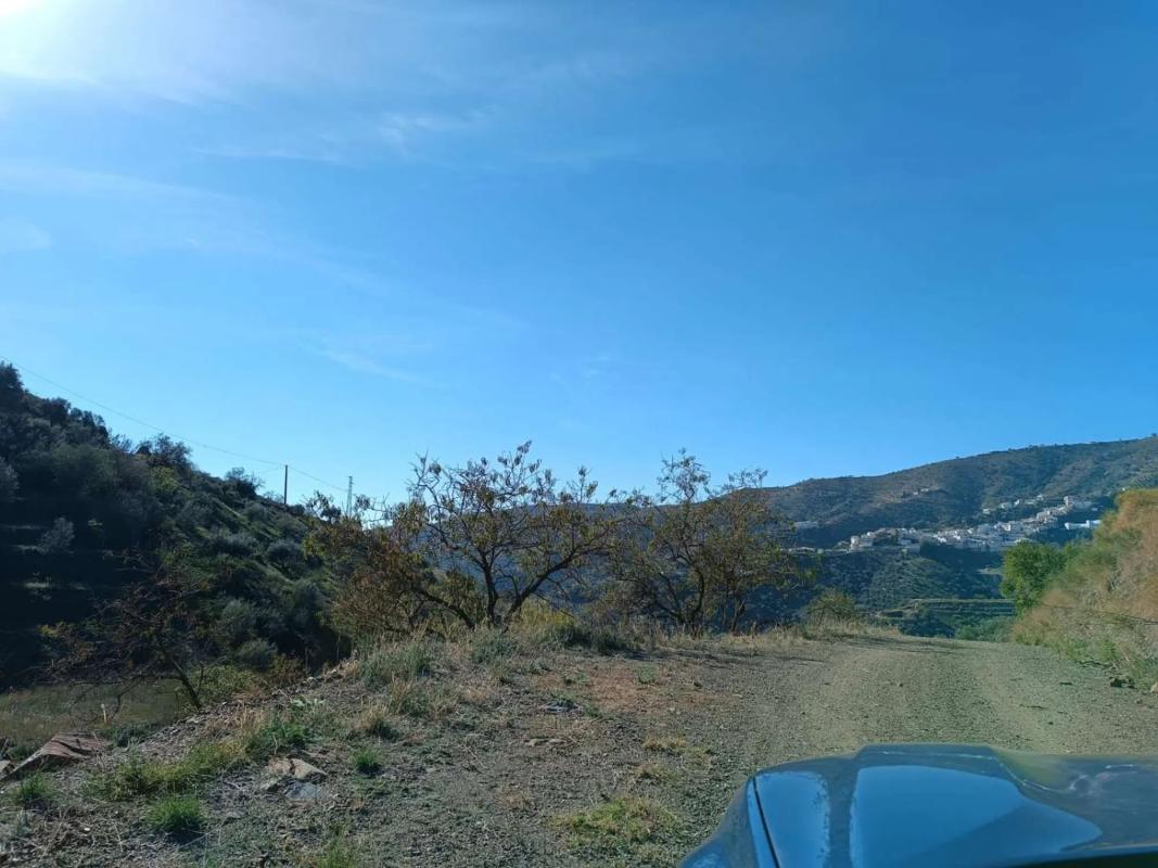 Land for sale in Moclinejo, Malaga photo 5