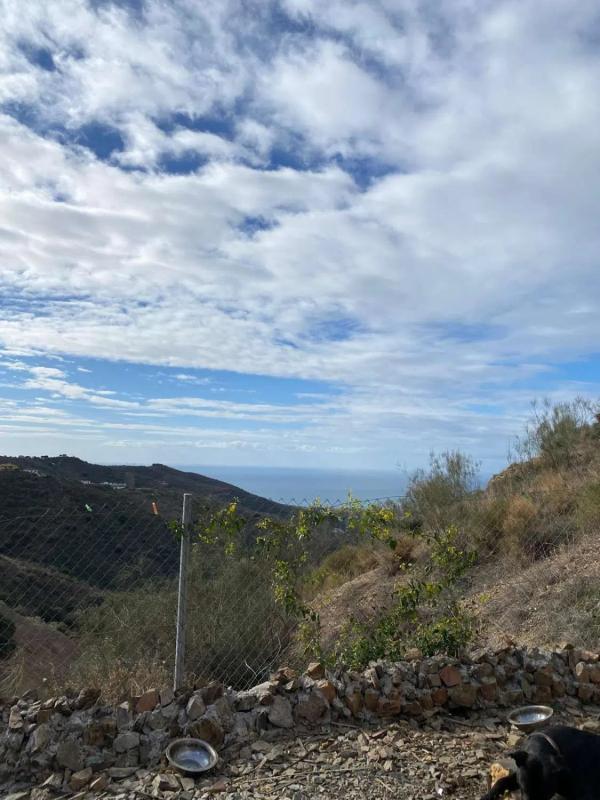 Land for sale in Moclinejo, Malaga photo 2