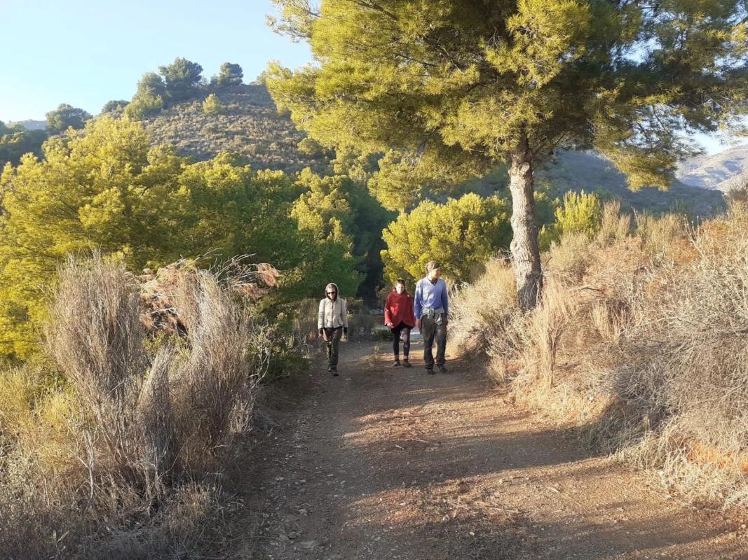 Działka na sprzedaż w Nerja, Malaga photo 5