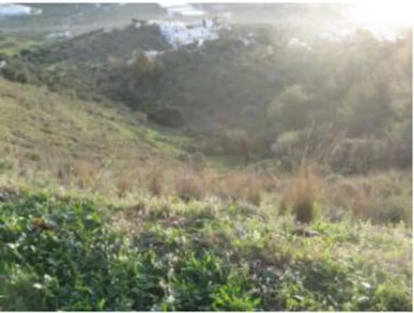 Terreno en Terreno Sup. 1 thumbnail 1