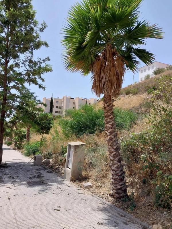 Land for sale in Nerja, Malaga photo 5
