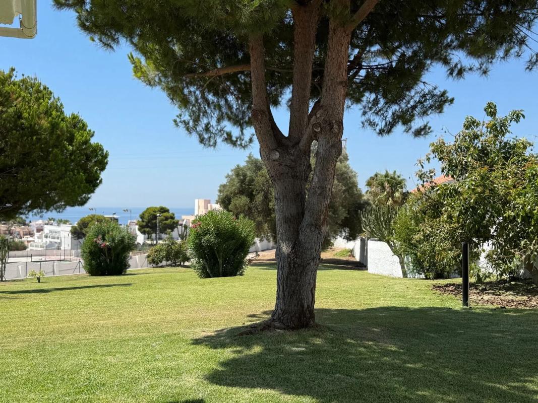 Terreno en venta en Nerja, Malaga photo 1