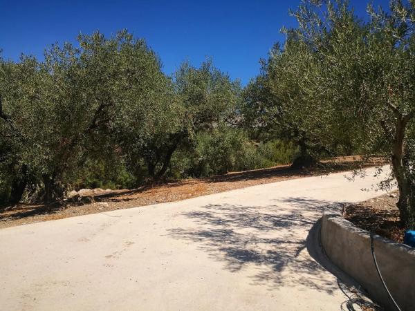 Terreno en Periana photo 1