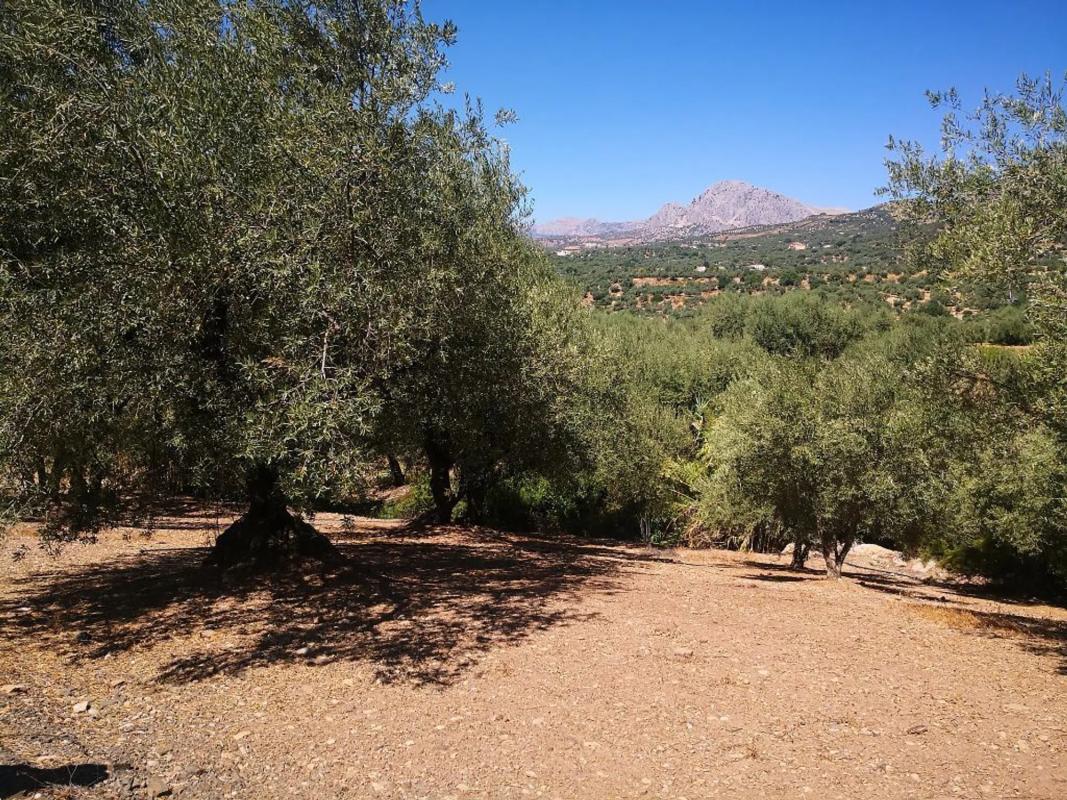Terreno en venta en Periana, Malaga photo 4