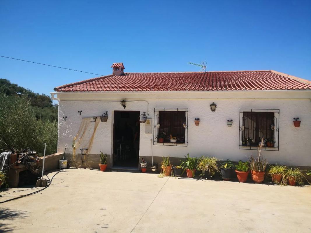 Terreno en venta en Periana, Malaga photo 5