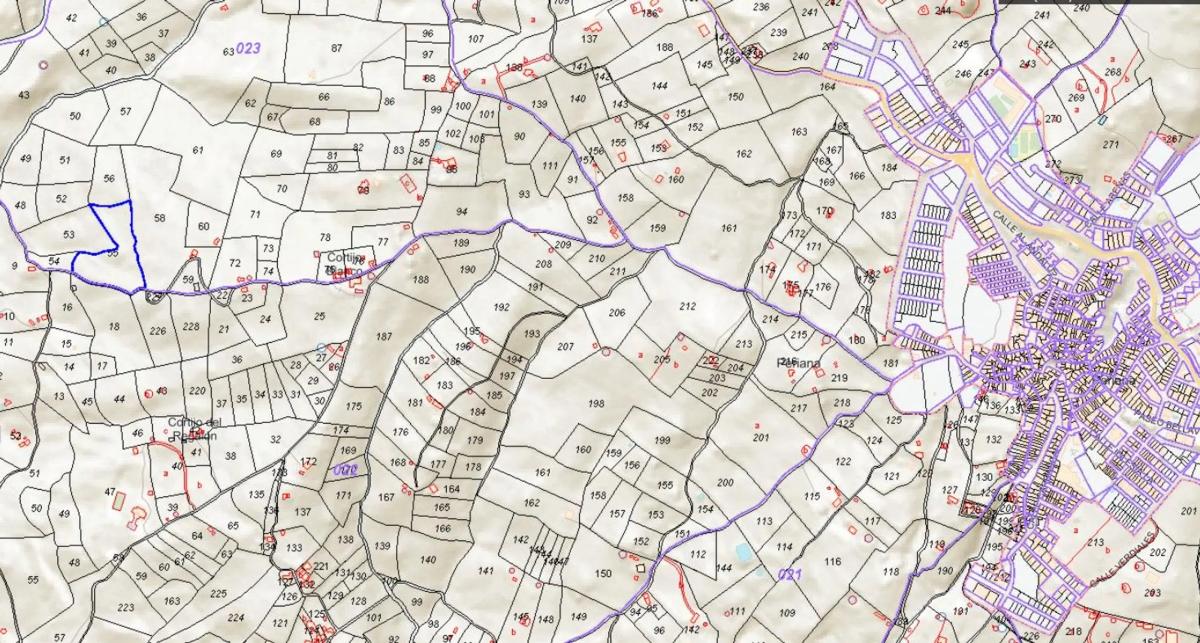 Land for sale in Periana, Malaga photo 3