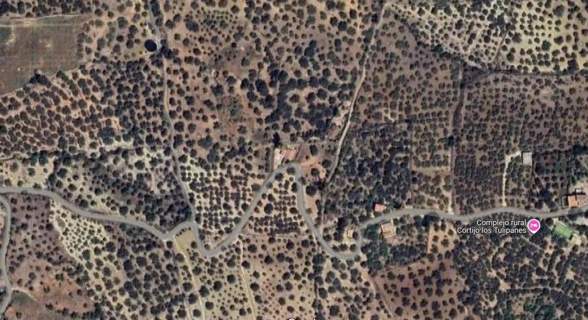 Land for sale in Periana, Malaga photo 5