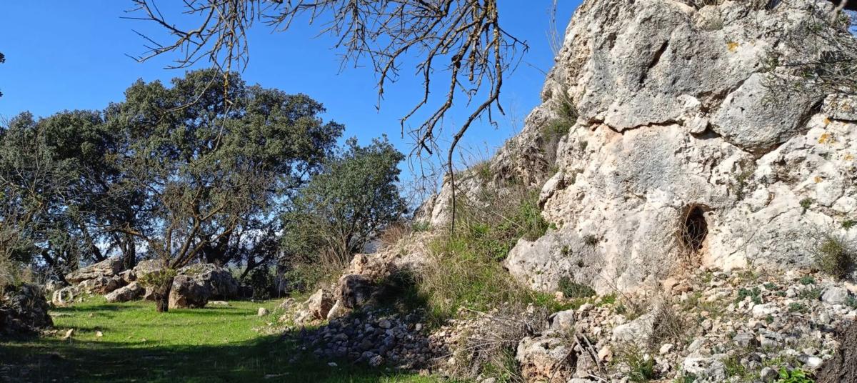 Terreno en venta en Periana, Malaga photo 3