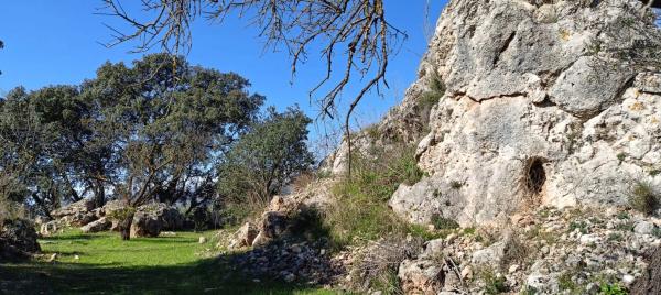Terreno en Periana photo 3