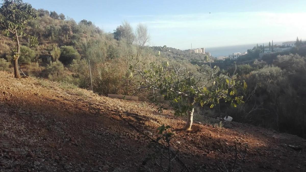 Land for sale in Rincón de la Victoria, Malaga photo 5