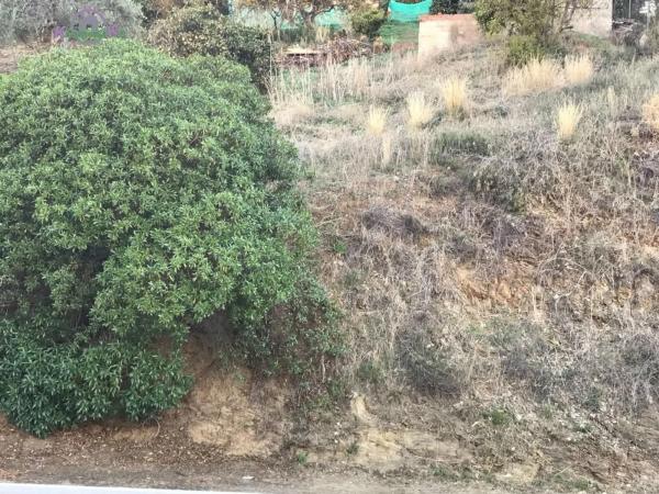 Terreno en Benagalbón photo 3