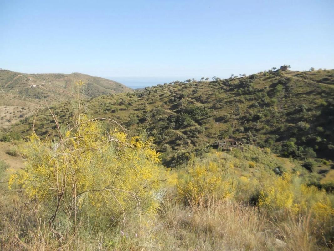 Terreno en venta en Rincón de la Victoria, Malaga photo 5