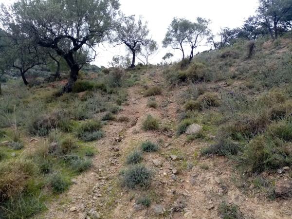 Terreno en Unnamed Road s/n photo 2