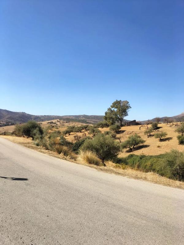 Land for sale in Riogordo, Malaga photo 5