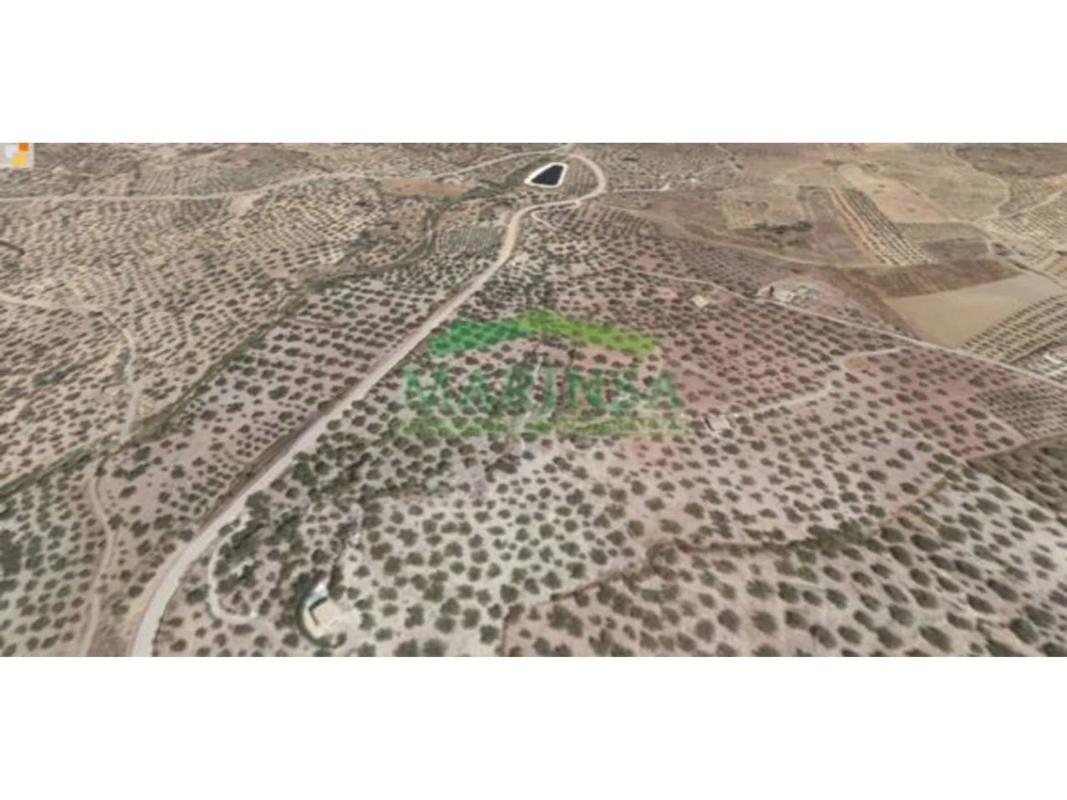 Land for sale in Riogordo, Malaga photo 1