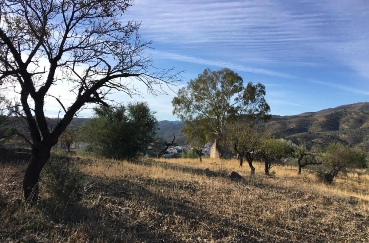 Land for sale in Riogordo, Malaga photo 1