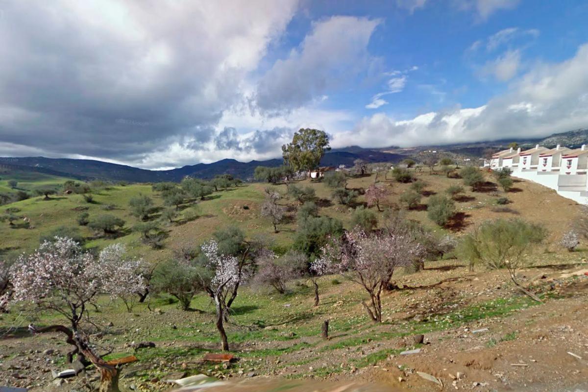 Land for sale in Riogordo, Malaga photo 5