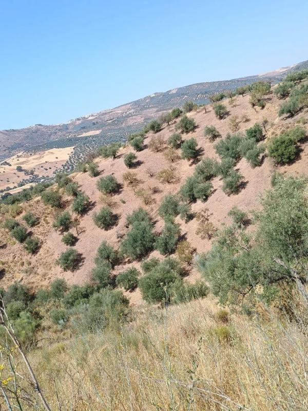 Terreno en venta en Riogordo, Malaga photo 1