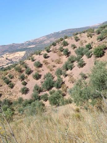 Terreno en Riogordo photo 1