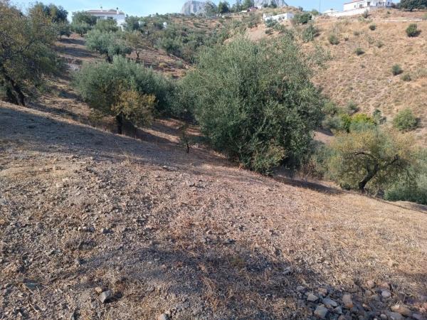 Terreno en Riogordo photo 2