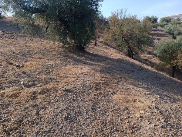 Terreno en Riogordo photo 3