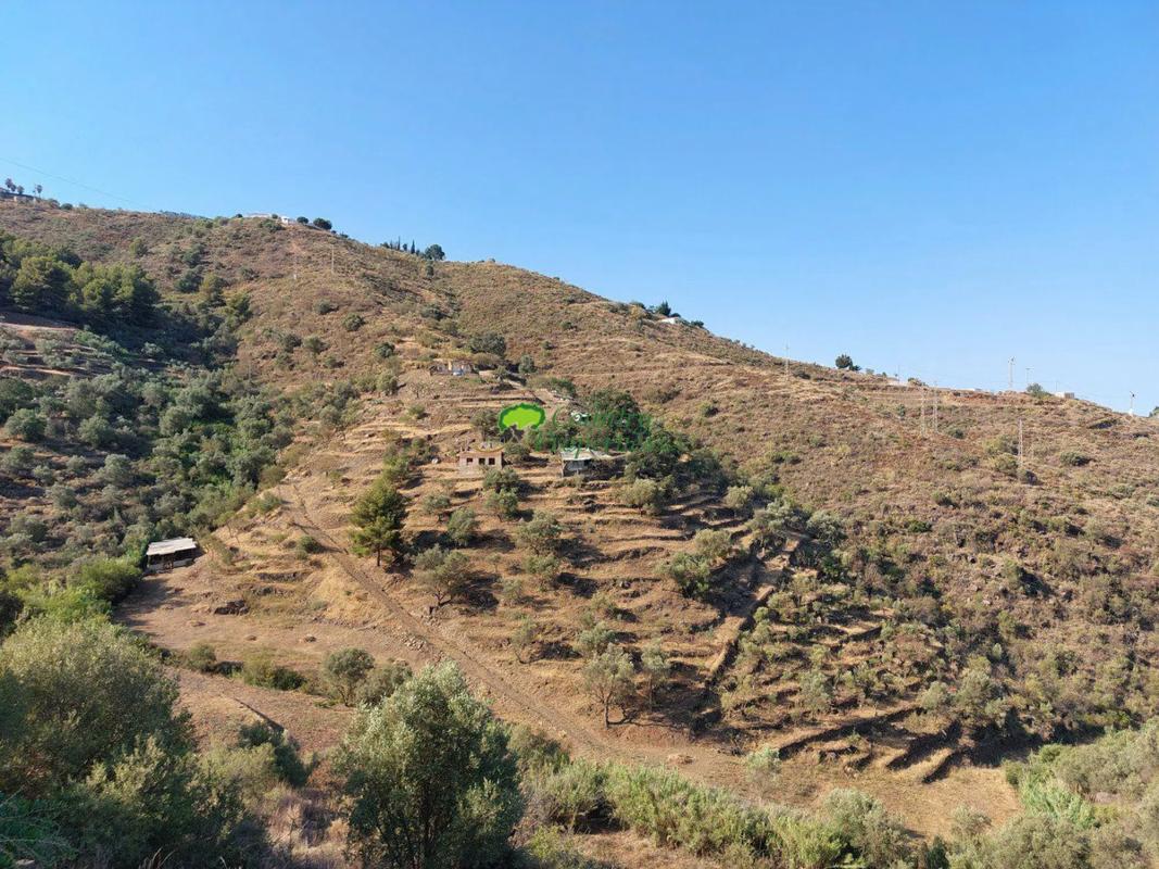 Terreno en venta en Sayalonga, Malaga photo 2