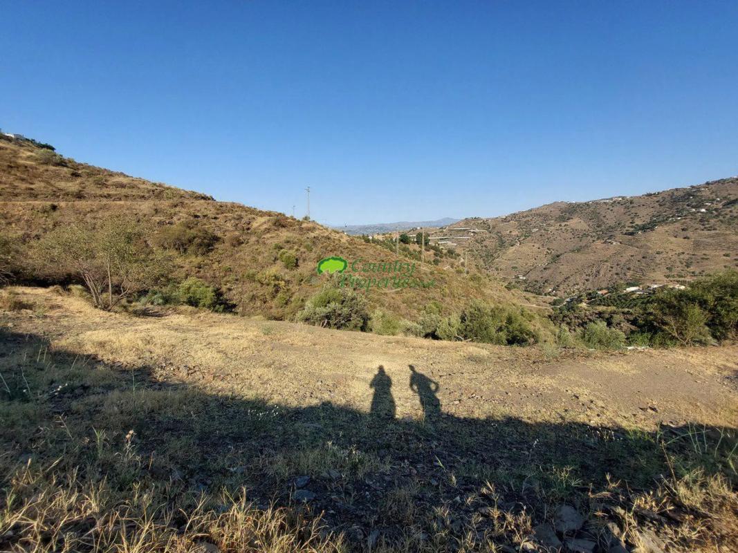 Terreno en venta en Sayalonga, Malaga photo 3