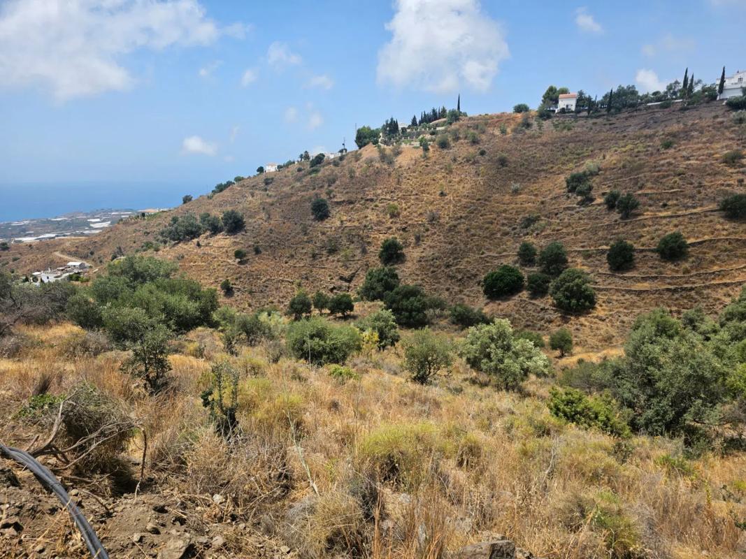 Terreno en venta en Sayalonga, Malaga photo 4