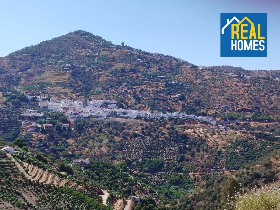 Terreno en venta en Sayalonga, Malaga photo 4