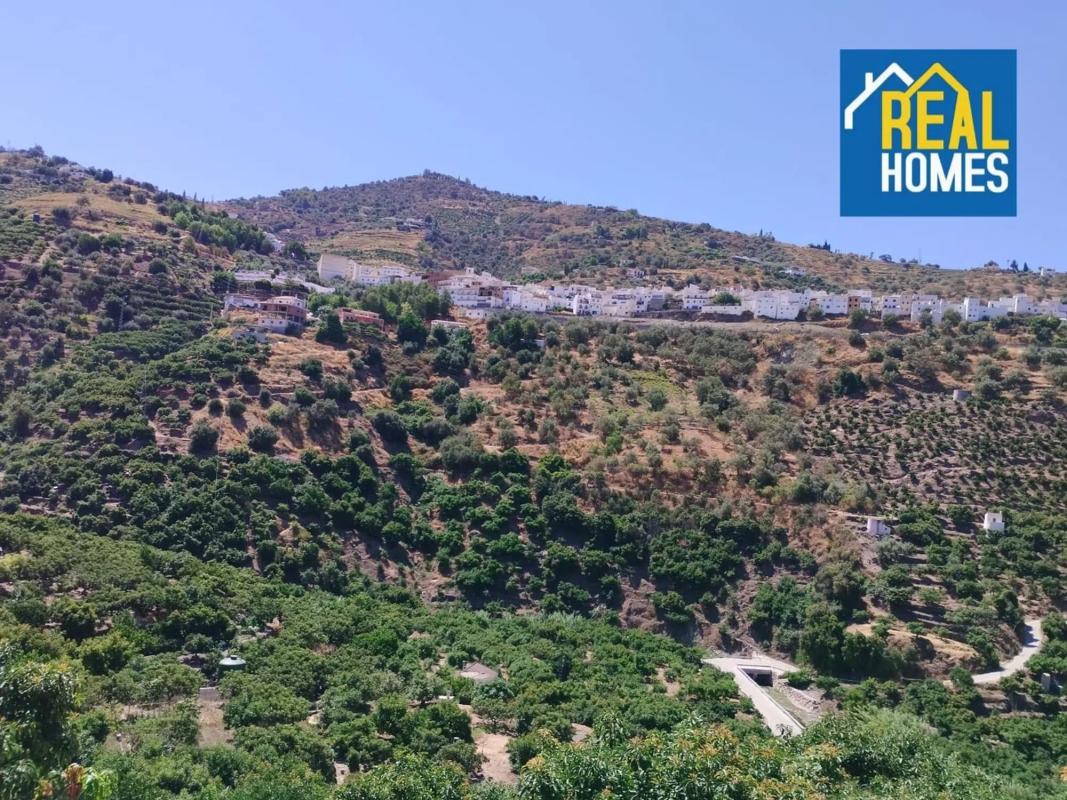 Terreno en venta en Sayalonga, Malaga photo 5