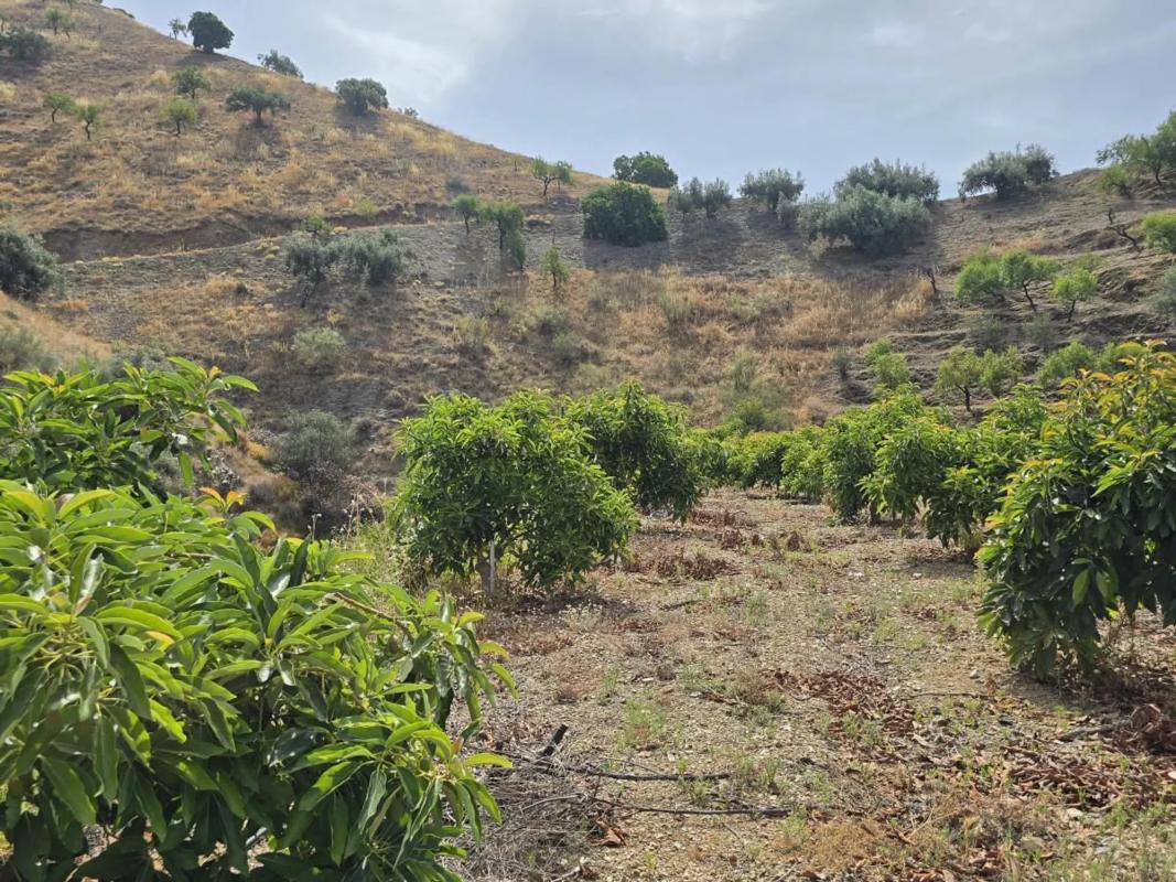 Terreno en venta en Sedella, Malaga photo 1