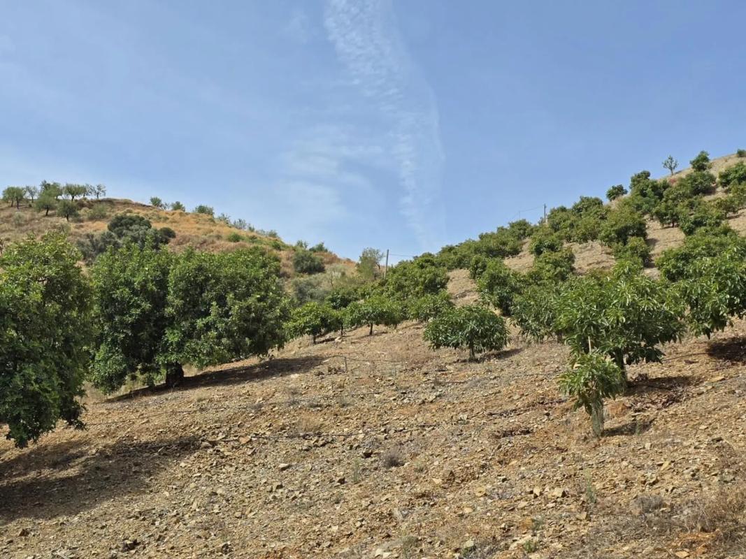 Terreno en venta en Sedella, Malaga photo 2