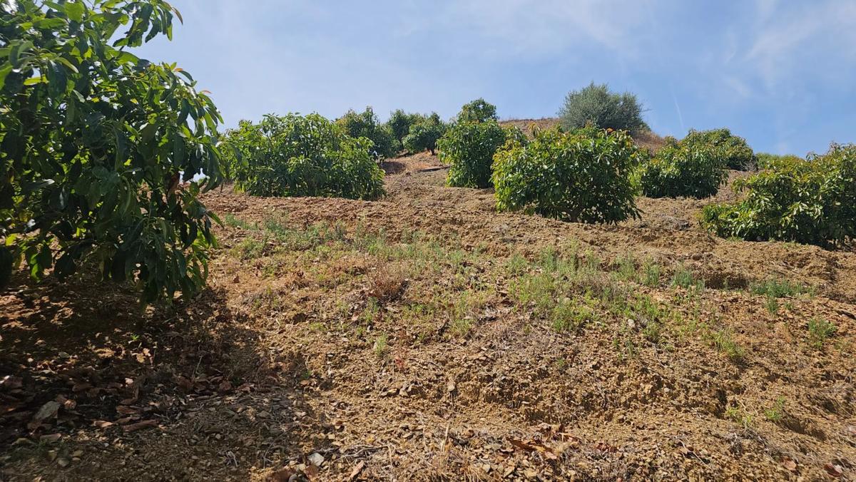 Terreno en venta en Sedella, Malaga photo 1
