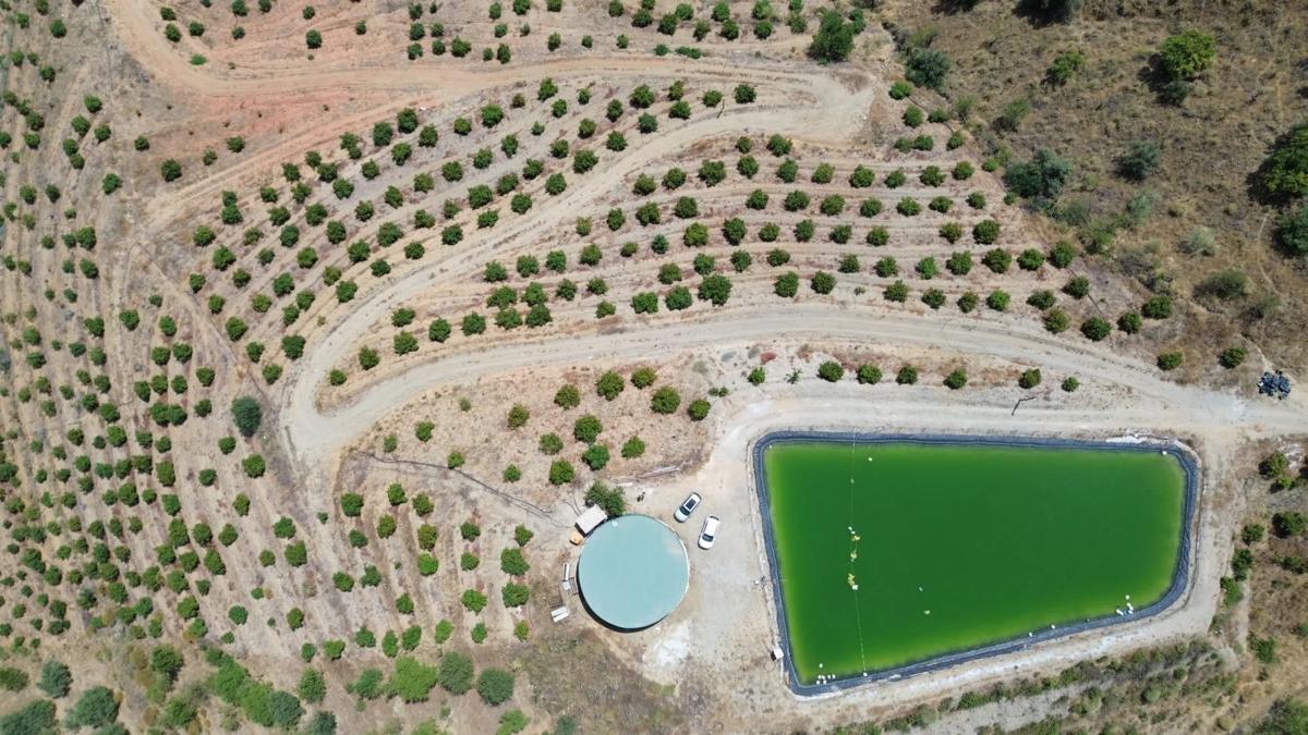 Terreno en venta en Sedella, Malaga photo 3
