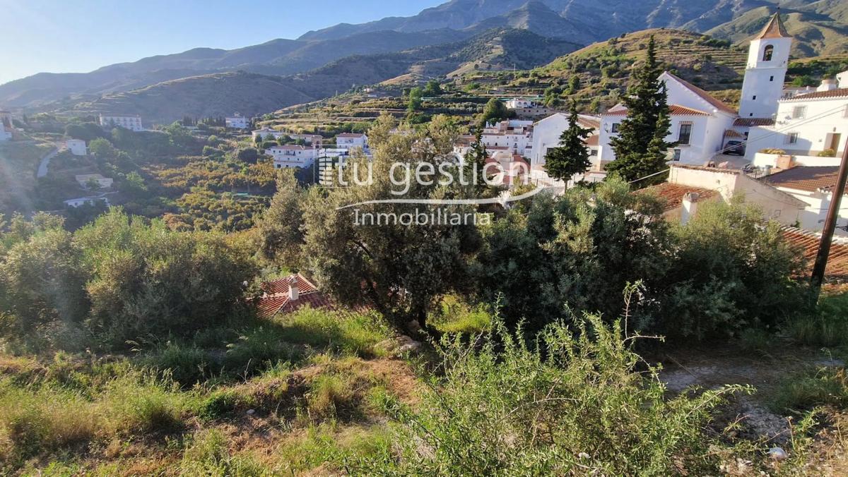 Terreno en venta en Sedella, Malaga photo 5