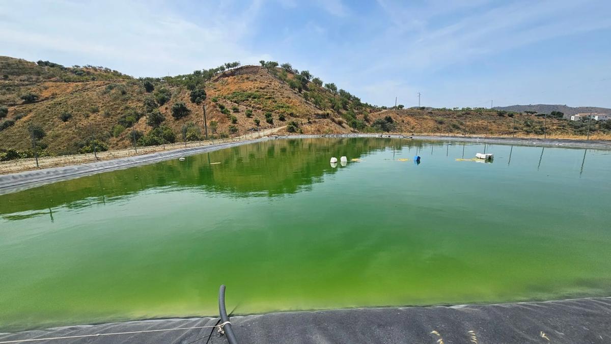 Terreno en venta en Sedella, Malaga photo 5