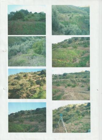 Terreno en el lazo poligono 1 parcela, 894 thumbnail 1