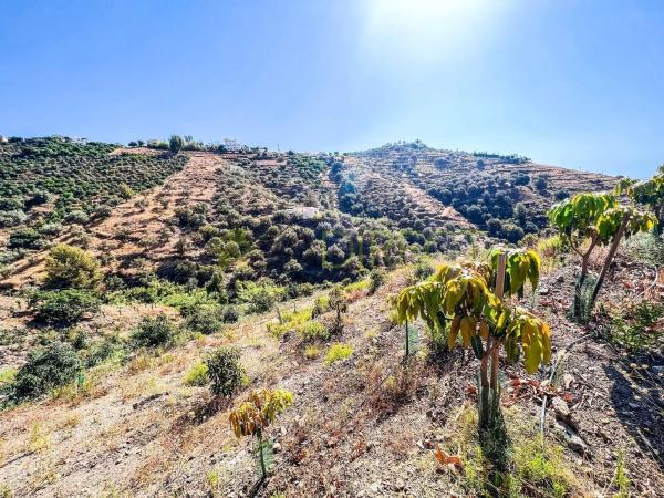 Terreno en Torrox Pueblo photo 1