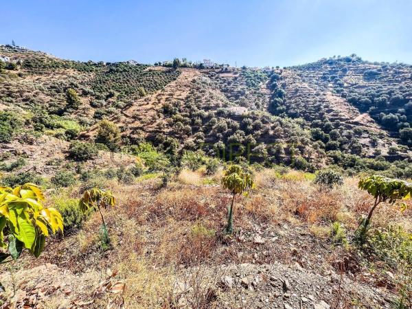 Terreno en Torrox Pueblo photo 4
