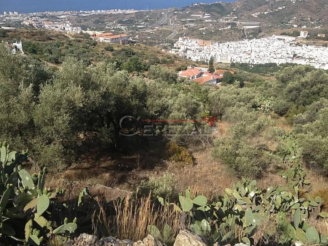 Działka na sprzedaż w Torrox, Malaga photo 3