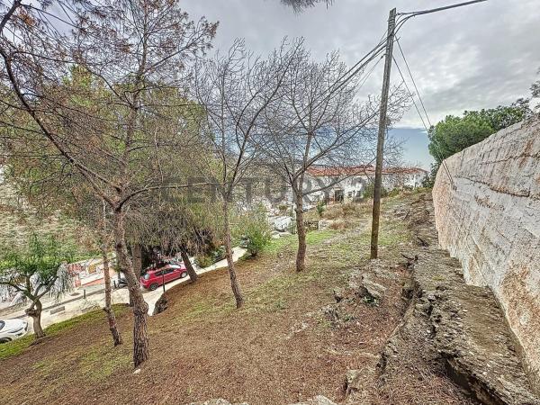 Terreno en calle Silva photo 3