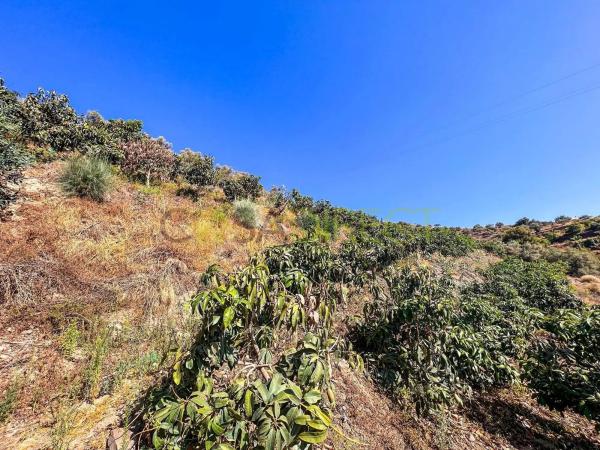 Terreno en Torrox Pueblo photo 1