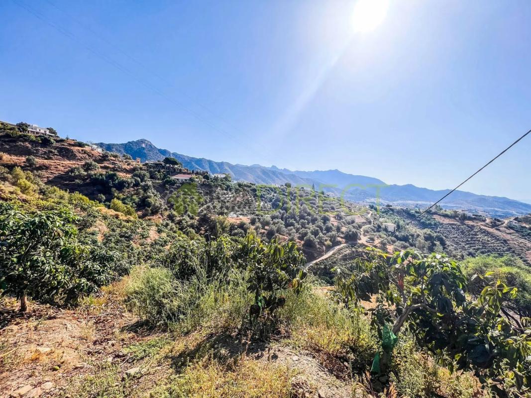 Land for sale in Torrox, Malaga photo 2
